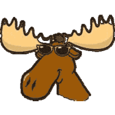 moose-cool